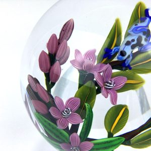 A Prince Unkissed – Blue Poison Dart Frog